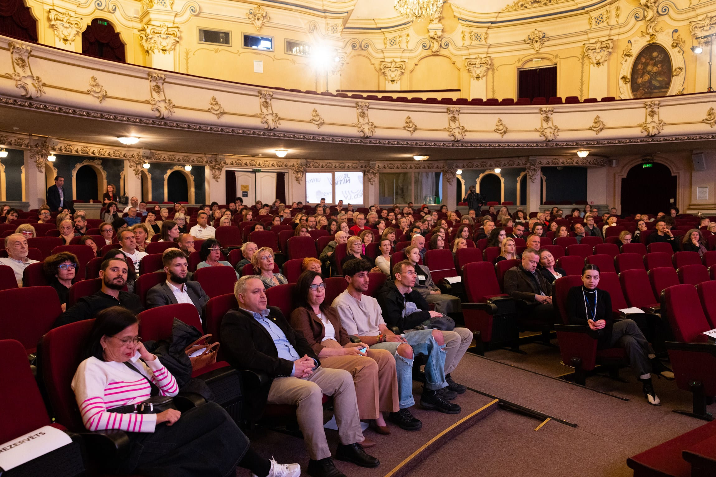 Audience at the We Will Dance Again film screening
